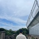 7월 여섯(제주여행_소길다방 그리고 여행 마무리)