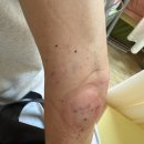 선율당한의원 이미지