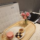 W3. 웨딩홀 투어/ 강남 세인트메리엘 25년 하반기 견적 공유
