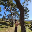 아산 .외암 민속마을 이미지