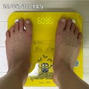 소2-39 | 마운자로 가격 효과 다이어트약 -10kg 감량 성공 후기 39일차