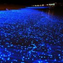 바다(sea)