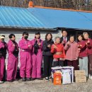 구리동물보호센터 이미지