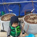 루루베리 이미지