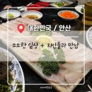 주-004-한국의원5(회) | 25.03.27~28 일상 + 지인들과의 만남