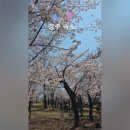 어썸웨이1 네이버블로그
