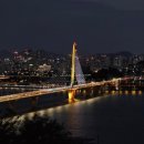올리브영증미역점