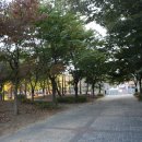 어름수변공원 티스토리