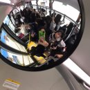 손선희 | 고이가아냐..곧고삼이야..