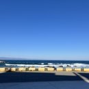 코랄트리 풀빌라 | 가족, 친구와 가기 좋은 내돈내산 포항 오션뷰 풀빌라 후기_코랄트리풀빌라