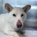 이마트24 울산포그니 이미지