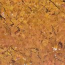 만안평생교육센터 | [20251127]안양 만안평생교육센터 단풍나무 가을&amp;겨울 틈색