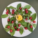 초록빛 진한 유월 푸놀치 최고지도자 과정은 권태희지부장님의 대구밝은터심리상담센터에서 행복을 나눠 먹는시간 감사합니다 이미지