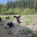 김영훈농장 이미지