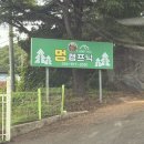 멍마실 | 구미 대구 근교 애견 동반 캠핑장 멍캠프닉