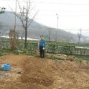 안시농장 이미지