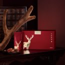 쏘굳한의원 이미지