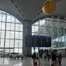 튀르키예 여행/ 이스탄불-카파도키아(카이세리 공항) 터키항공 비지니스 이용후기(국내선 라운지)