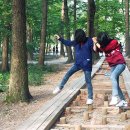 영상테마파크 이미지