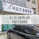 제갈견 동물병원 이미지