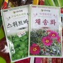 흥농종묘사 이미지