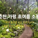 미쳐버린파닭(춘천점) | 제이드가든부터 공지천까지, 초여름 가평·춘천 감성여행