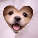 진범이네 농장 이미지