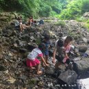 금화계곡주차장 이미지