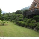 대지 Daum카페
