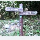 속리산둘레길 보은길4 이미지
