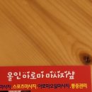 올인아로마 이미지