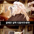 동네미용실 - 서천군 | 동네미용실