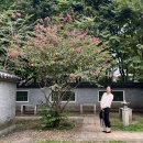 79파운야드태백점 | [8.29-9.11] 가을로 가는 길