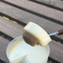 시소 민박 | 2일차) : 도르르김밥/한담해안산책로/소길별하/시소카이막/집의기록상점/고내횟집/애월농협하나로마트