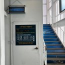 화이트캐슬평창 | 발왕산 케이블카 | 평창 대관령 여행코스 추천