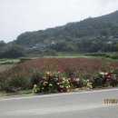 하미마을회관 이미지