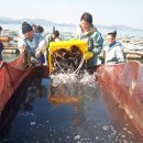 천수만목장 이미지