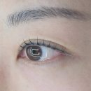 파리바게트 선비점 | 짧아진 속눈썹 고민 해결한 송촌동속눈썹펌 브로우아이