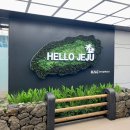 제주도 여행 | 5성급 호텔 그랜드 하얏트 제주 숙박 정보(룸 컨디션, 고층 시티뷰, 카페8 디너, 수영장...