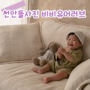 포둥 | 천안 돌사진 감성 돌사진 원한다면 비비유어러브!(내돈내산)