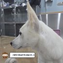어서멍 이미지