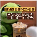 거북섬구구당