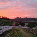 지루골 정육식당 이미지