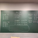 노랑산하오징어