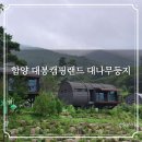 솔향기둥지 | 함양 대봉캠핑랜드 대나무둥지 숙소 후기