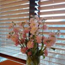 커피별여행자 이미지