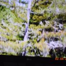 함께웃는부동산공인중개사사무소 이미지