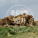 스타트주유소 | [몽골여행/고비사막]엠지에어투어 5일차 바가가즈린출루 눈이 맑아지는샘 후기