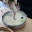 포항닭칼국수 이미지