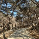 석가모니 목재불상 | 안동, 유네스코 산사 한국의 산지승원 7대의 사찰 봉정사